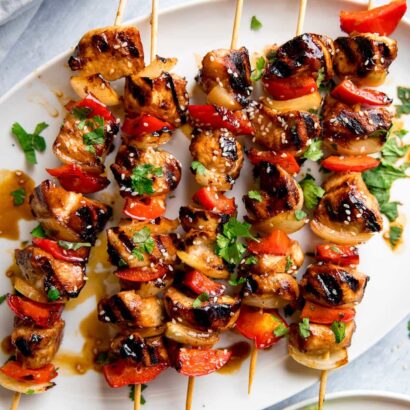 Chicken Kabab Skewer
